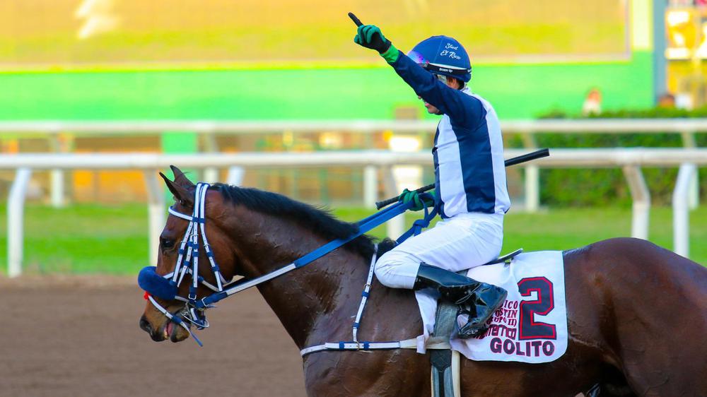 WhatsApp Image 2023-07-22 at 9.06.15 AM