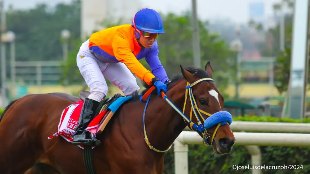 WhatsApp Image 2024-06-29 at 15.23.57