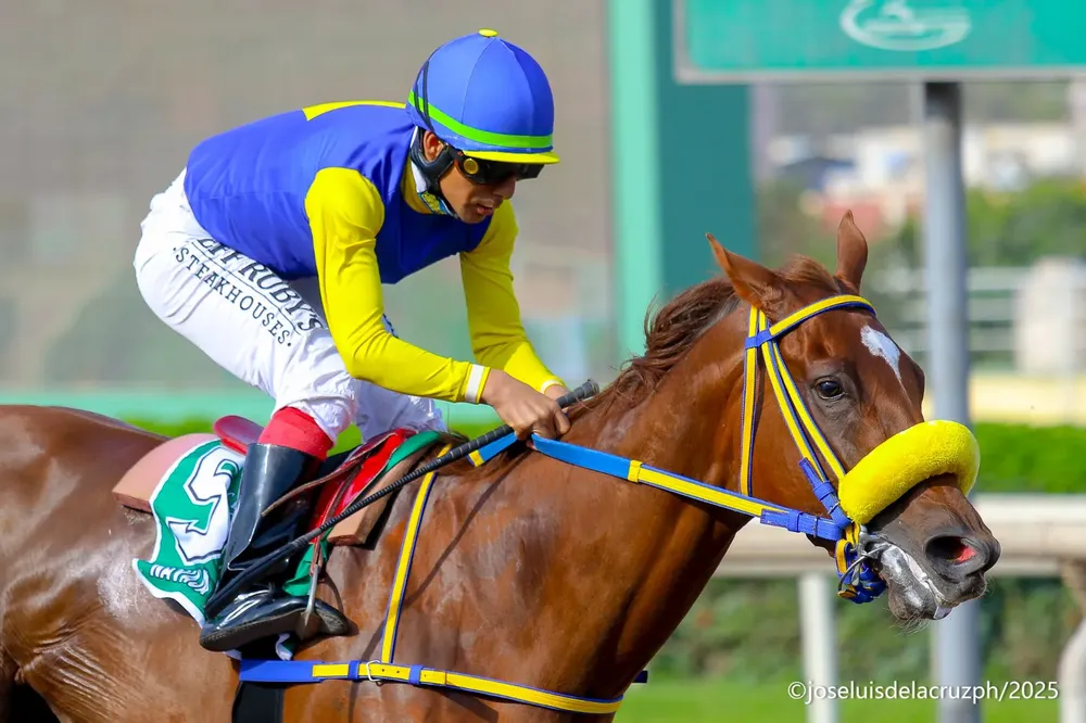 WhatsApp Image 2025-10-23 at 10.04.53 AM