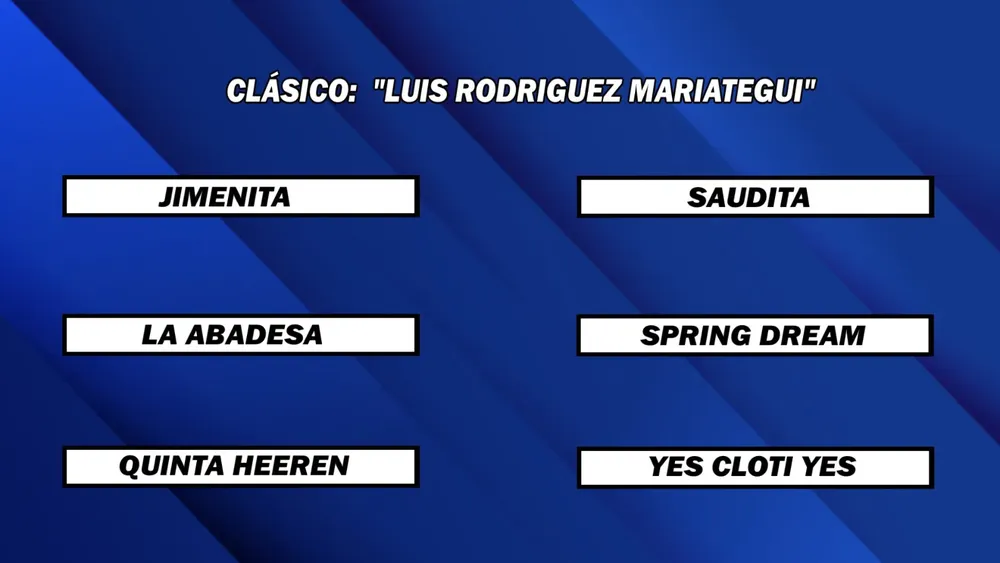 WhatsApp Image 2025-01-06 at 14.36.11