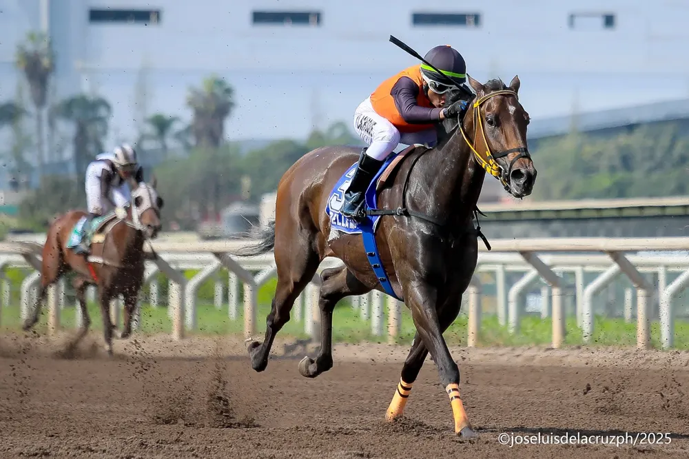 WhatsApp Image 2025-11-16 at 5.31.14 PM