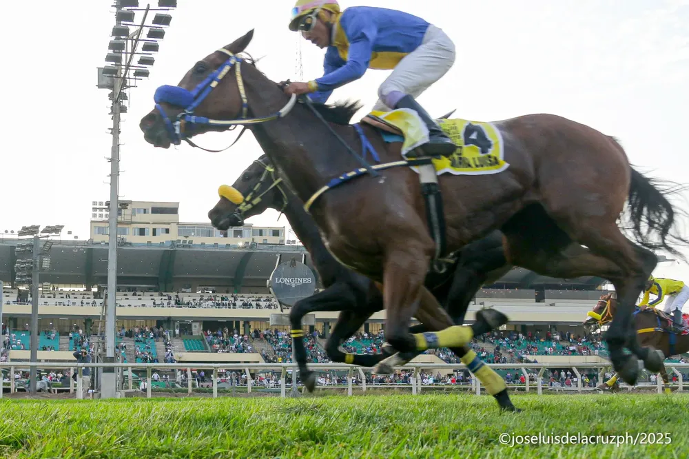 WhatsApp Image 2025-12-26 at 11.16.41 PM