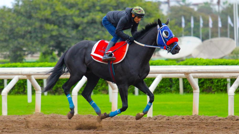 WhatsApp Image 2023-07-22 at 8.38.15 AM