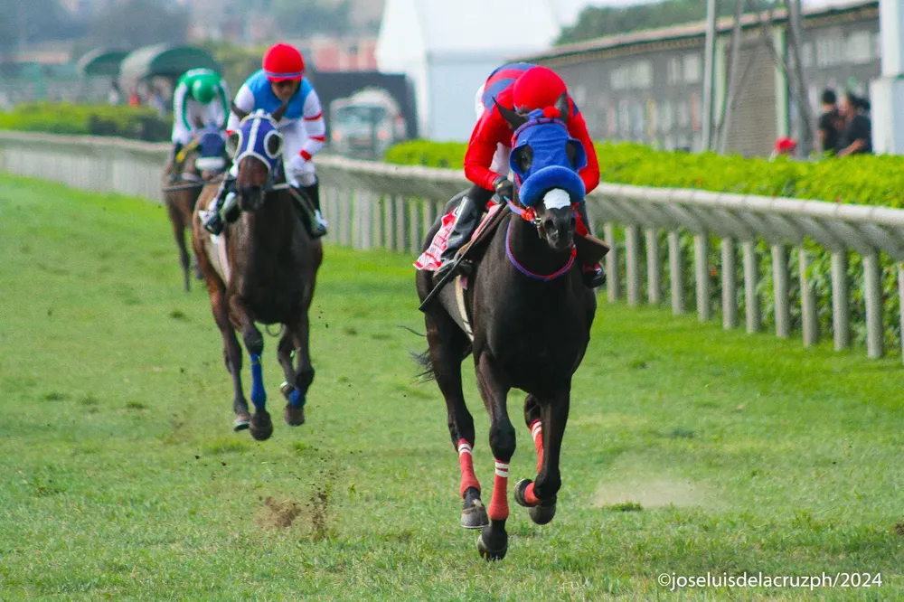 WhatsApp Image 2024-09-23 at 12.39.52 (3)