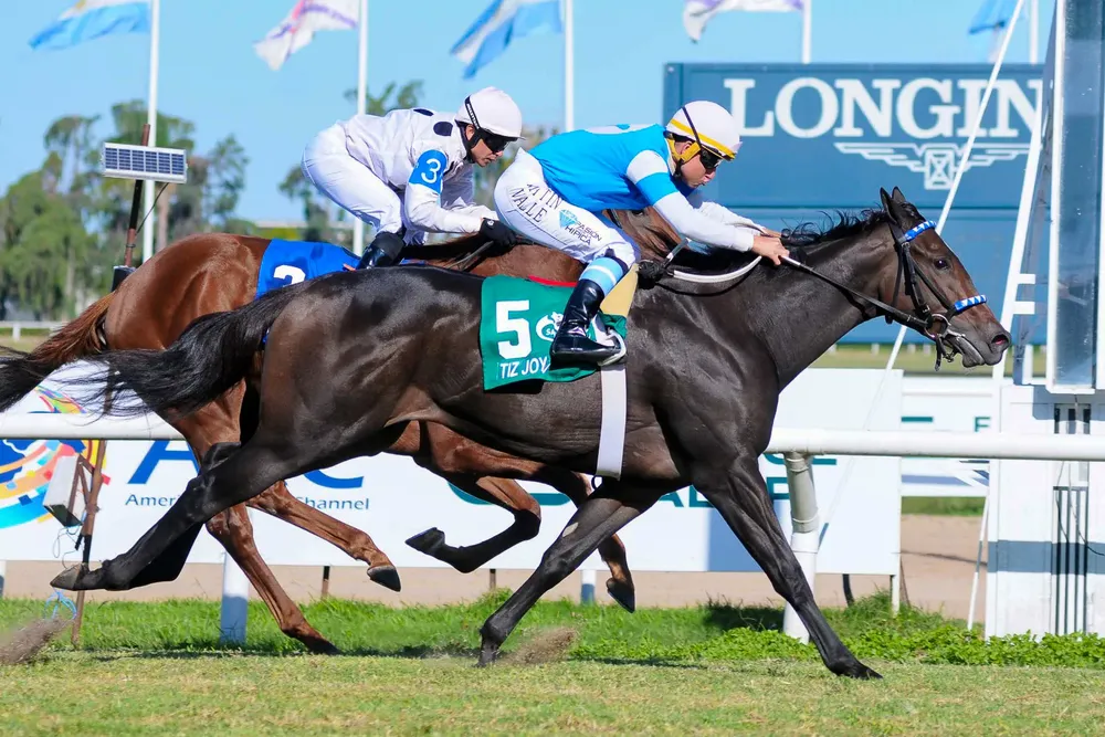 WhatsApp Image 2025-04-04 at 15.29.16