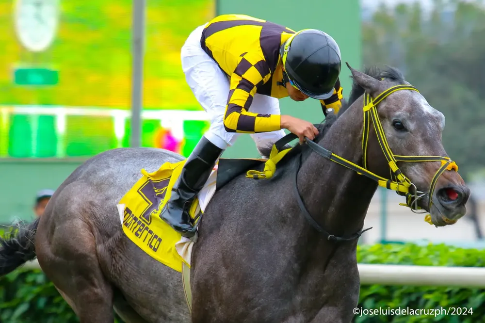 WhatsApp Image 2024-08-06 at 21.27.11