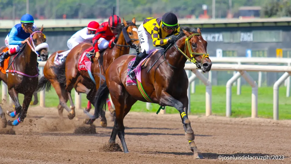 WhatsApp Image 2023-12-03 at 2.53.47 PM