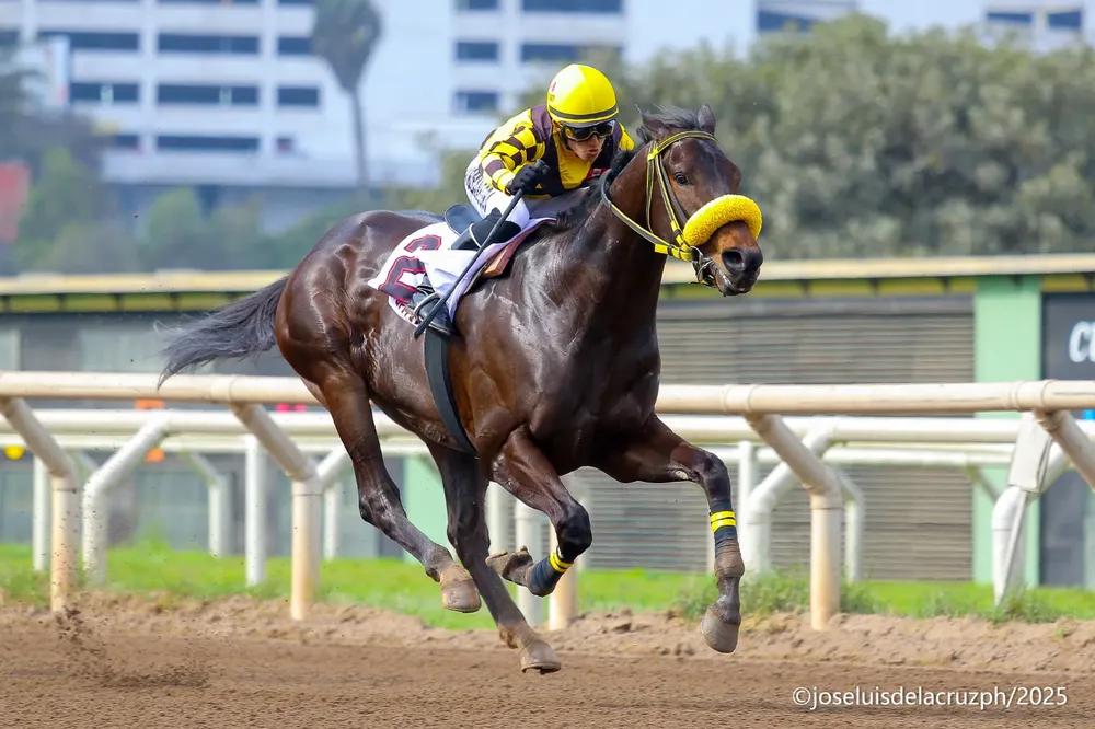 WhatsApp Image 2025-10-05 at 4.37.59 PM