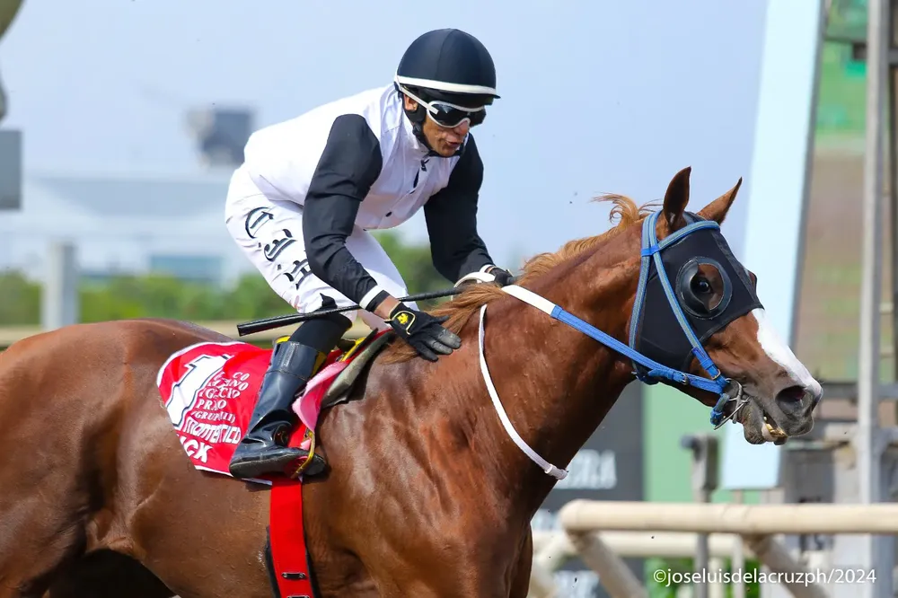 WhatsApp Image 2025-01-10 at 09.26.28