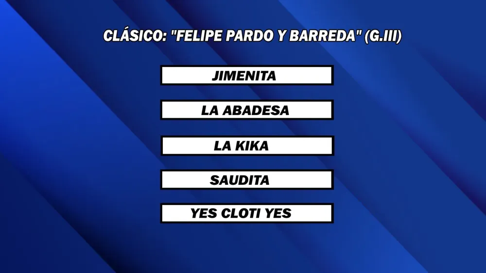 WhatsApp Image 2025-02-24 at 14.47.14 (2)