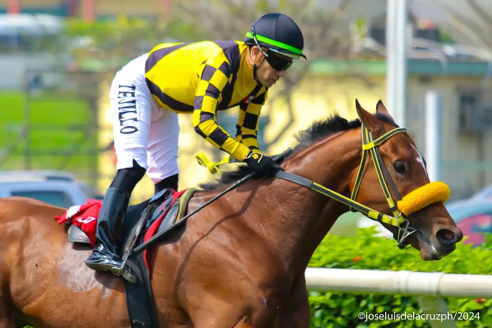 WhatsApp Image 2024-09-22 at 10.57.33