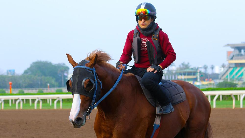 WhatsApp Image 2023-09-27 at 10.06.48 AM