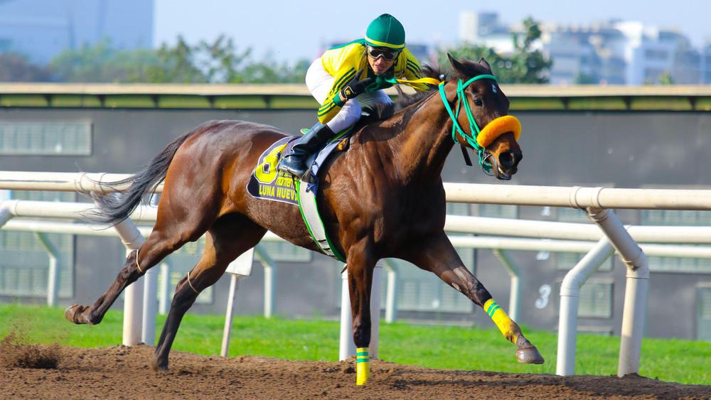 WhatsApp Image 2023-08-05 at 4.20.46 PM