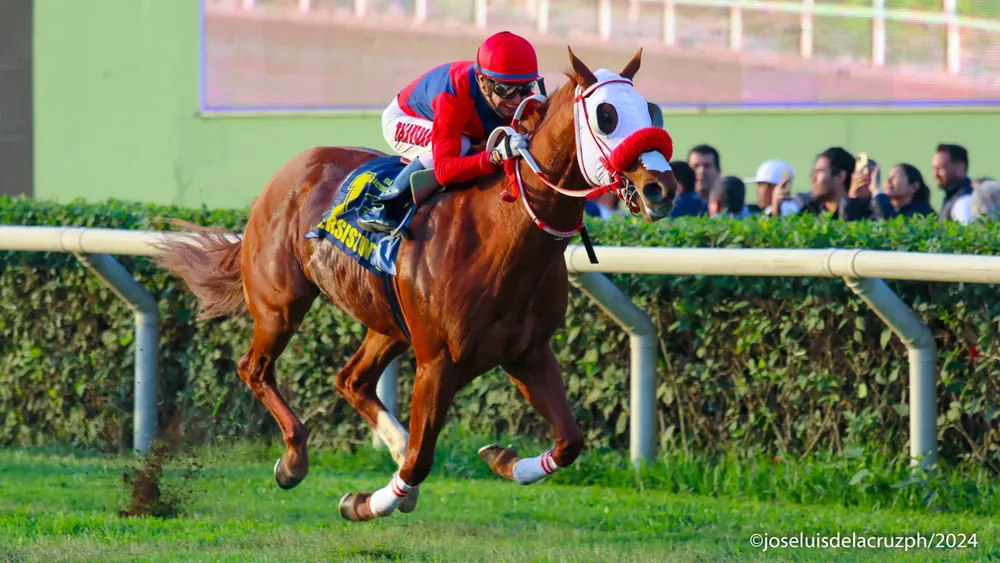 WhatsApp Image 2024-06-09 at 17.20.35 (1)