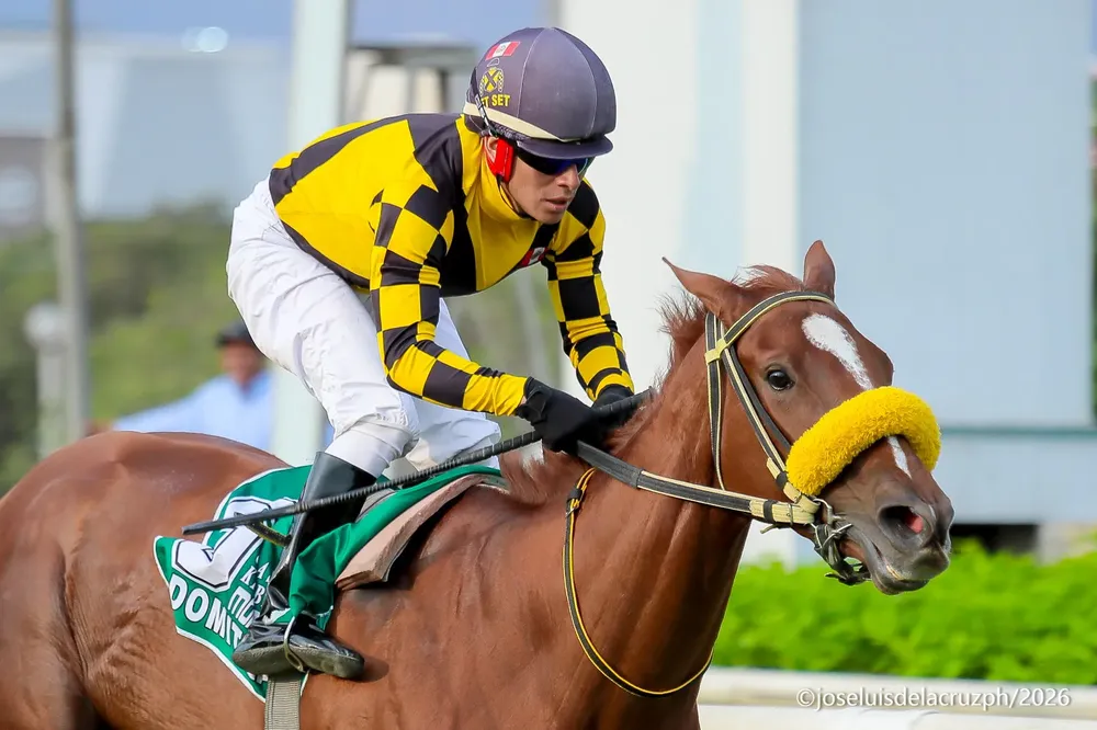 WhatsApp Image 2026-02-14 at 8.47.42 PM (1)