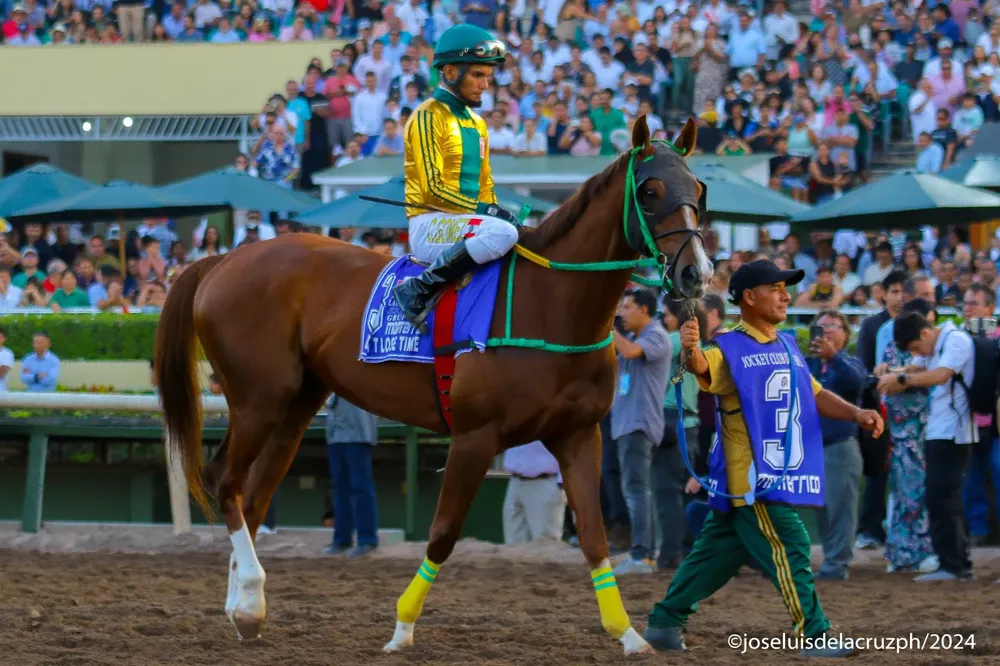 WhatsApp Image 2024-07-25 at 13.28.50