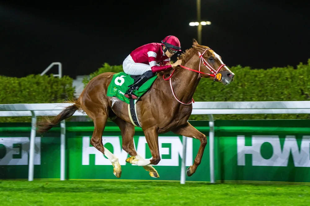 RS33258_1-2-22-25_ G2 Howden Neom Turf Cup_Mathea Kelley-JCSA-2