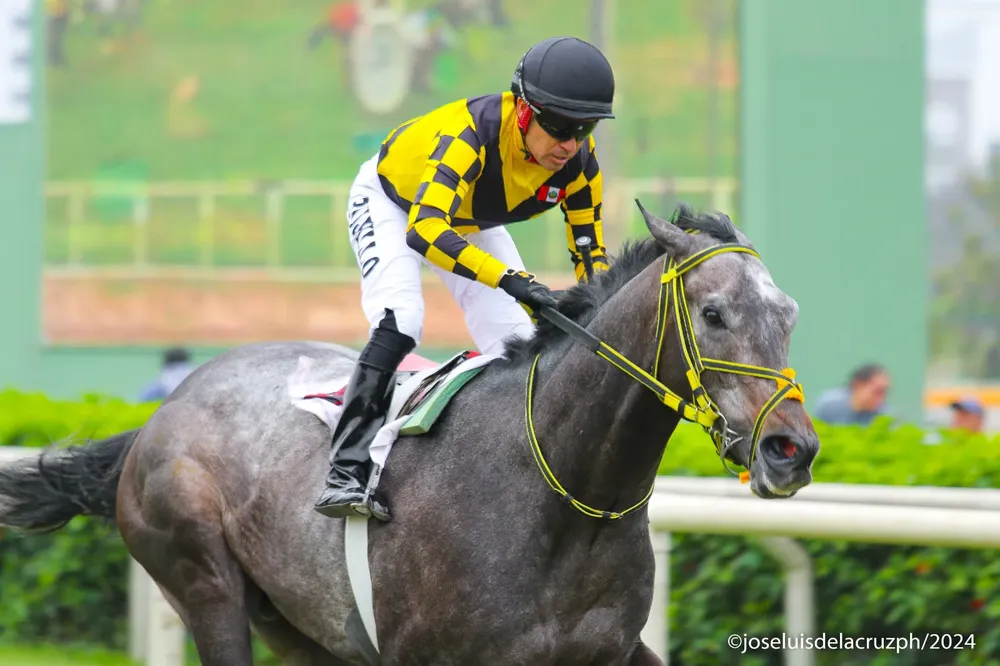 WhatsApp Image 2024-09-28 at 18.40.35