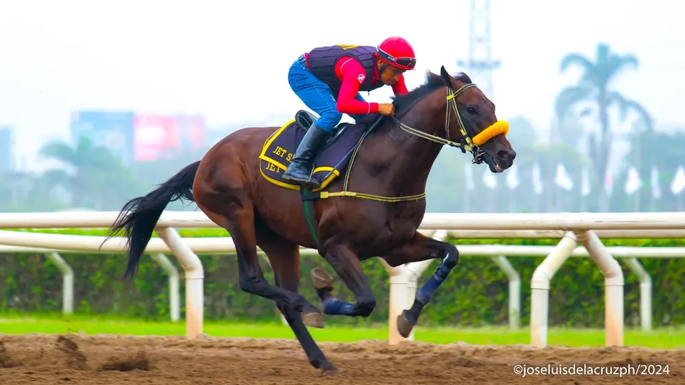 WhatsApp Image 2024-03-20 at 12.08.43 PM