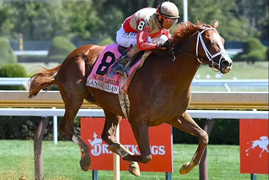 6aebe8_892cef4261884144835468bafbc2eef8~mv2