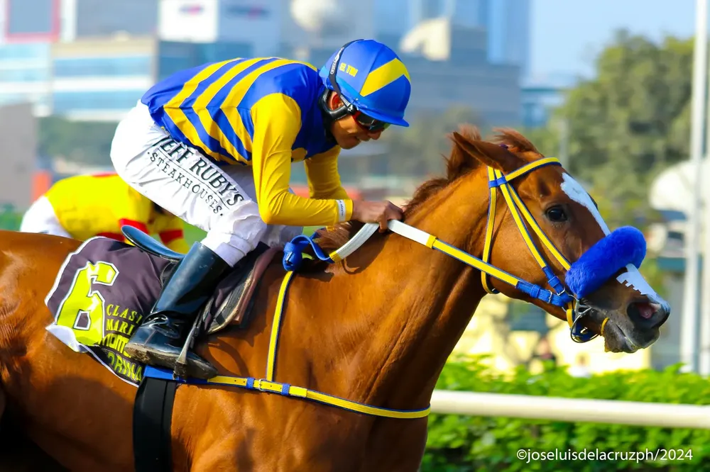 WhatsApp Image 2024-08-04 at 20.34.48 (3)