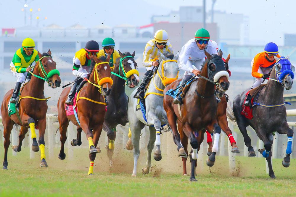 multimedia.grande.b8a5ce0dc2a2df86.V2hhdHNBcHAgSW1hZ2UgMjAyMy0wNy0xNSBhdCAxLjFfZ3JhbmRlLmpwZWc=