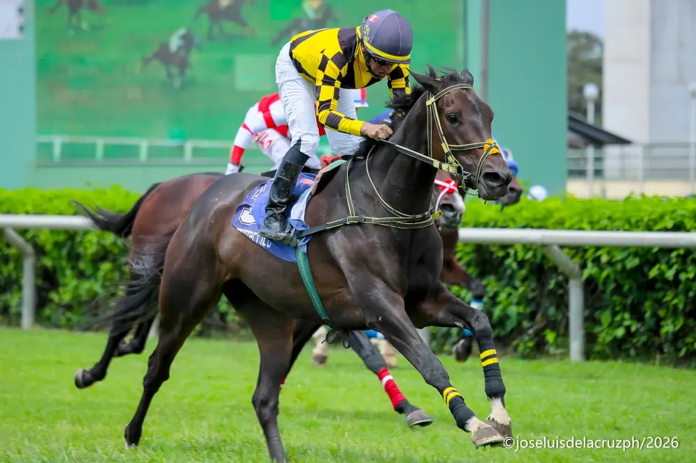 WhatsApp Image 2026-01-18 at 2.26.17 PM