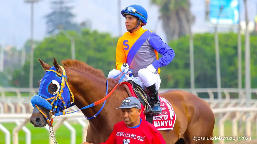 WhatsApp Image 2024-01-29 at 8.38.02 PM