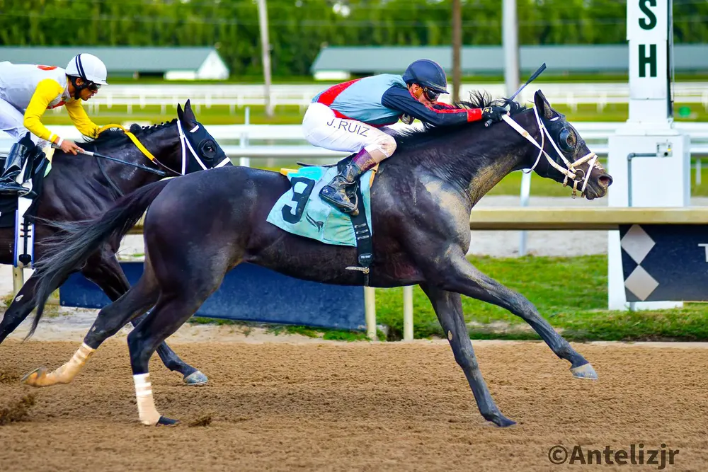 WhatsApp Image 2025-01-11 at 17.46.55-2