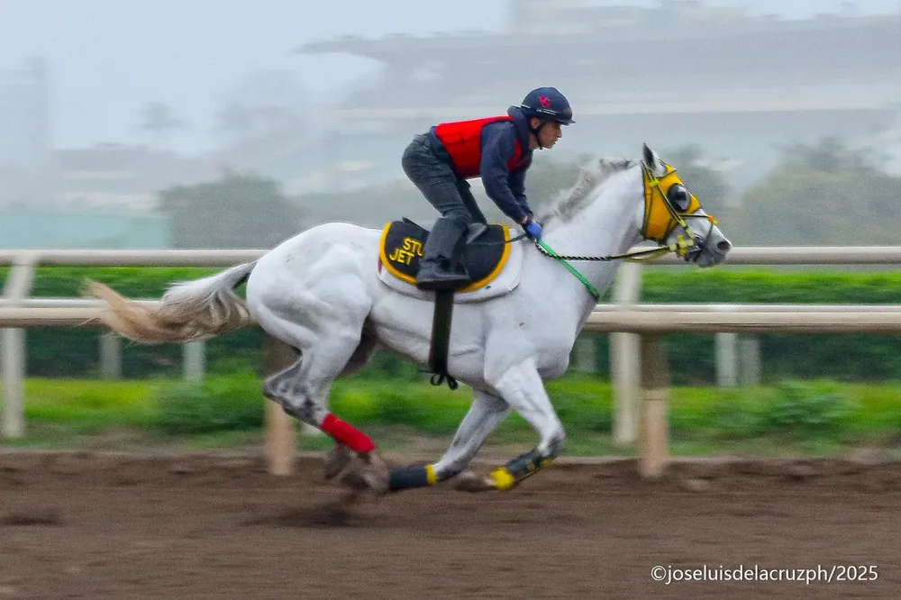 WhatsApp Image 2025-10-06 at 2.51.40 PM