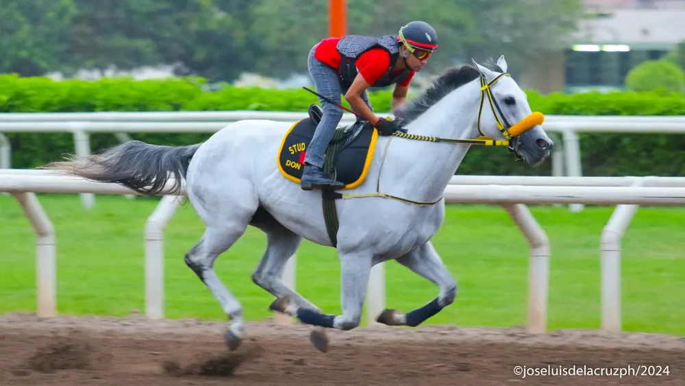 WhatsApp Image 2024-02-28 at 9.56.27 AM