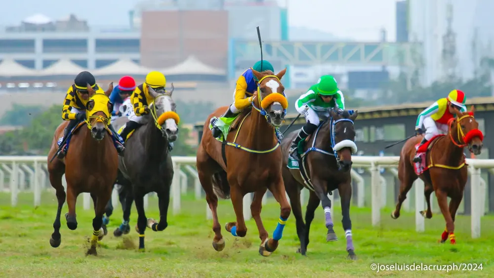 WhatsApp Image 2024-05-26 at 18.08.37