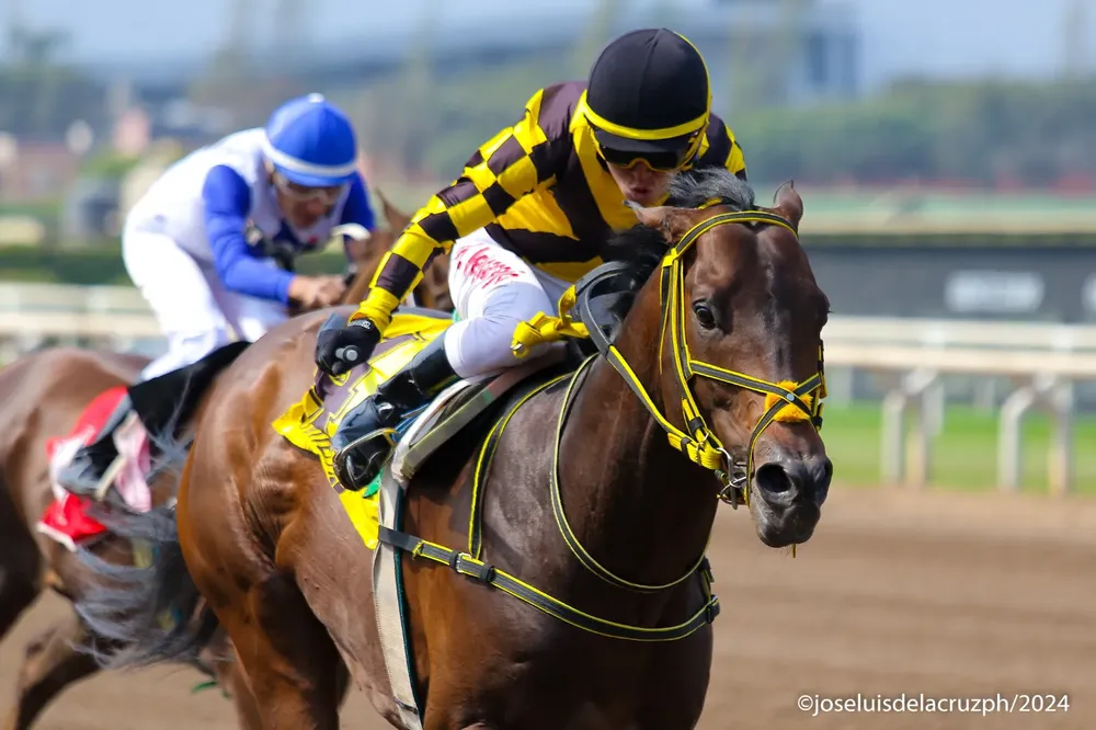 WhatsApp Image 2024-10-10 at 16.57.00