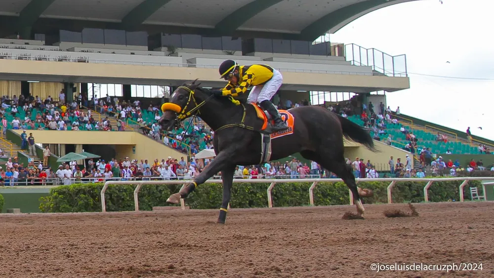 WhatsApp Image 2024-01-14 at 4.35.12 PM