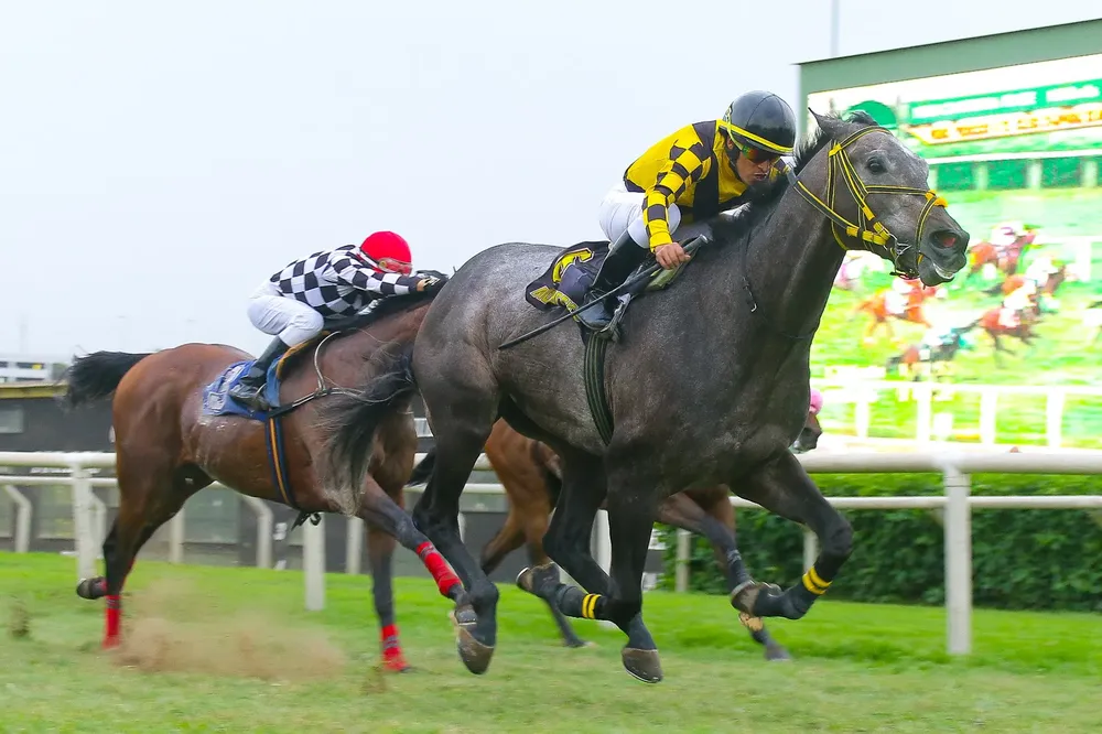 WhatsApp Image 2024-11-11 at 12.45.19