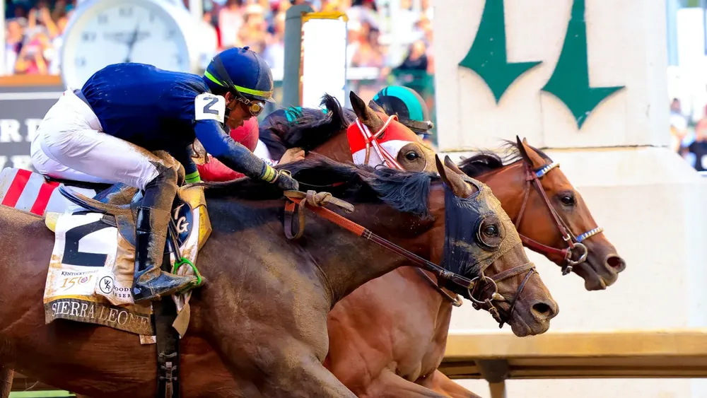 WhatsApp Image 2024-05-04 at 18.43.14