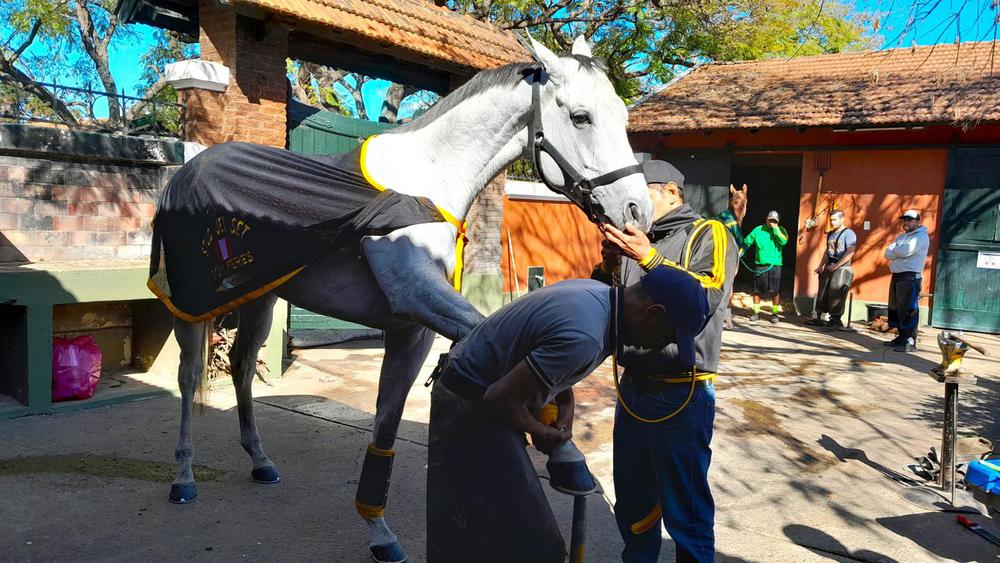 WhatsApp Image 2023-09-30 at 11.16.46 AM