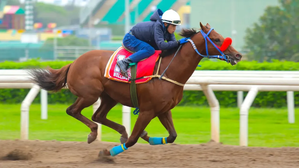 WhatsApp Image 2023-11-10 at 10.20.36 AM