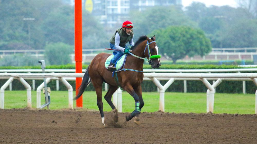 WhatsApp Image 2023-09-02 at 10.23.12 AM (1)