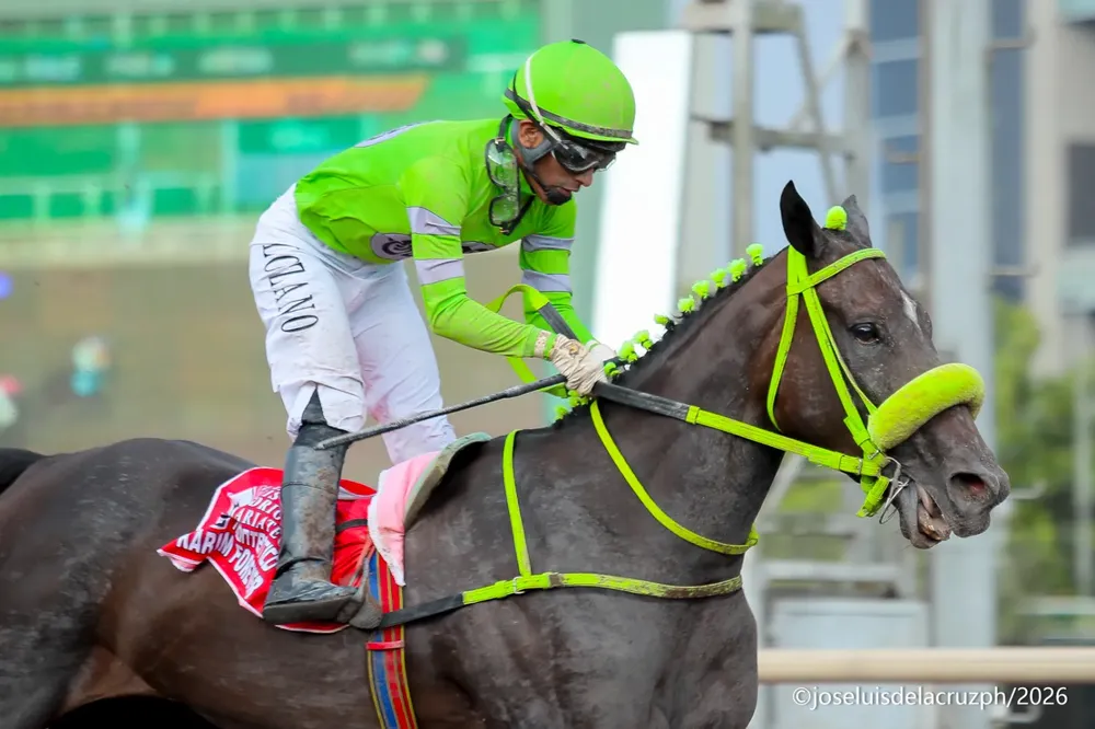 WhatsApp Image 2026-01-11 at 5.04.23 PM