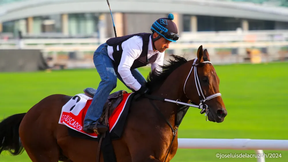 WhatsApp Image 2024-03-27 at 8.48.50 AM