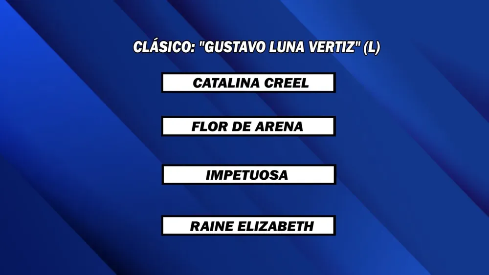 WhatsApp Image 2025-03-10 at 14.25.55