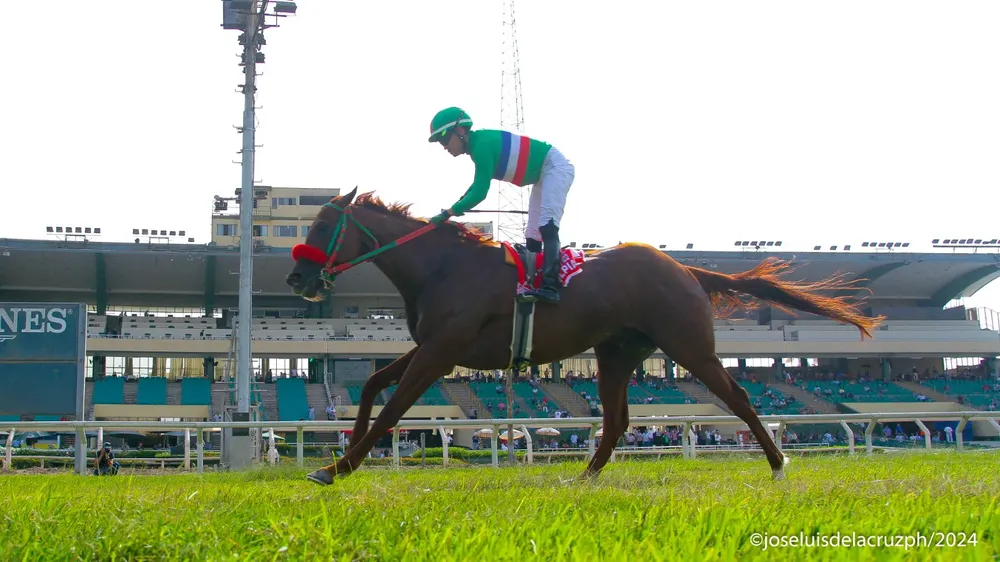 WhatsApp Image 2024-03-16 at 3.54.54 PM