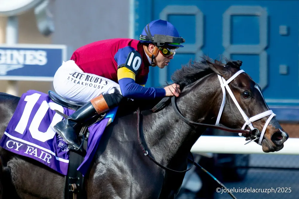 WhatsApp Image 2025-10-31 at 3.04.46 PM