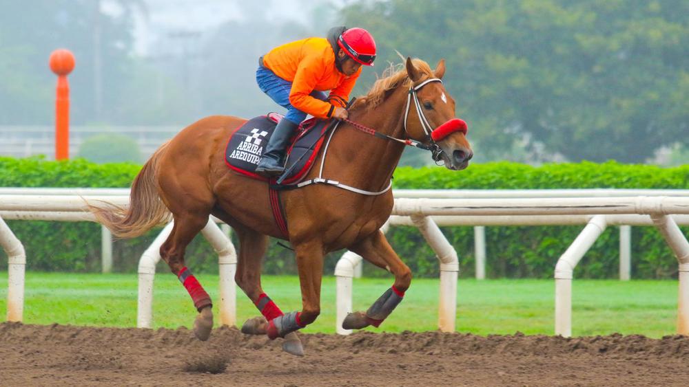 WhatsApp Image 2023-09-30 at 10.08.17 AM