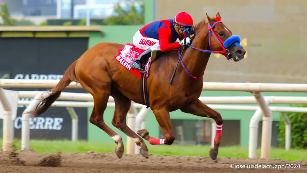 WhatsApp Image 2024-04-20 at 16.00.48