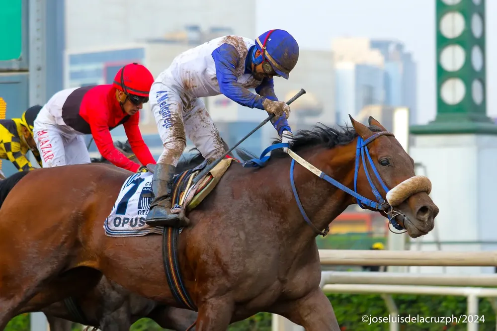 WhatsApp Image 2024-10-02 at 15.01.03