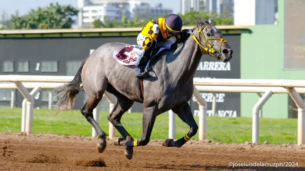 WhatsApp Image 2024-05-06 at 12.15.59