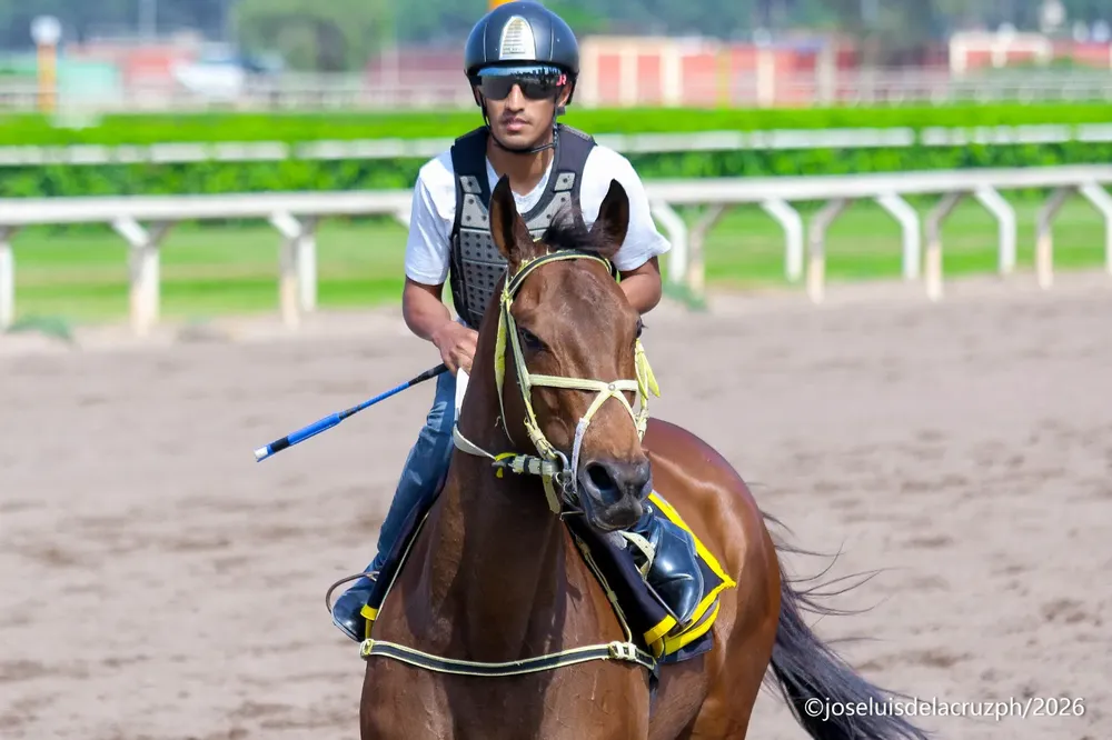 WhatsApp Image 2026-01-19 at 10.40.46 AM (1)