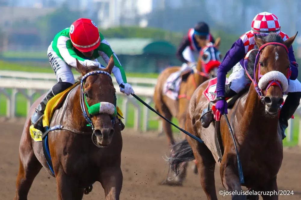 WhatsApp Image 2024-09-01 at 19.48.00